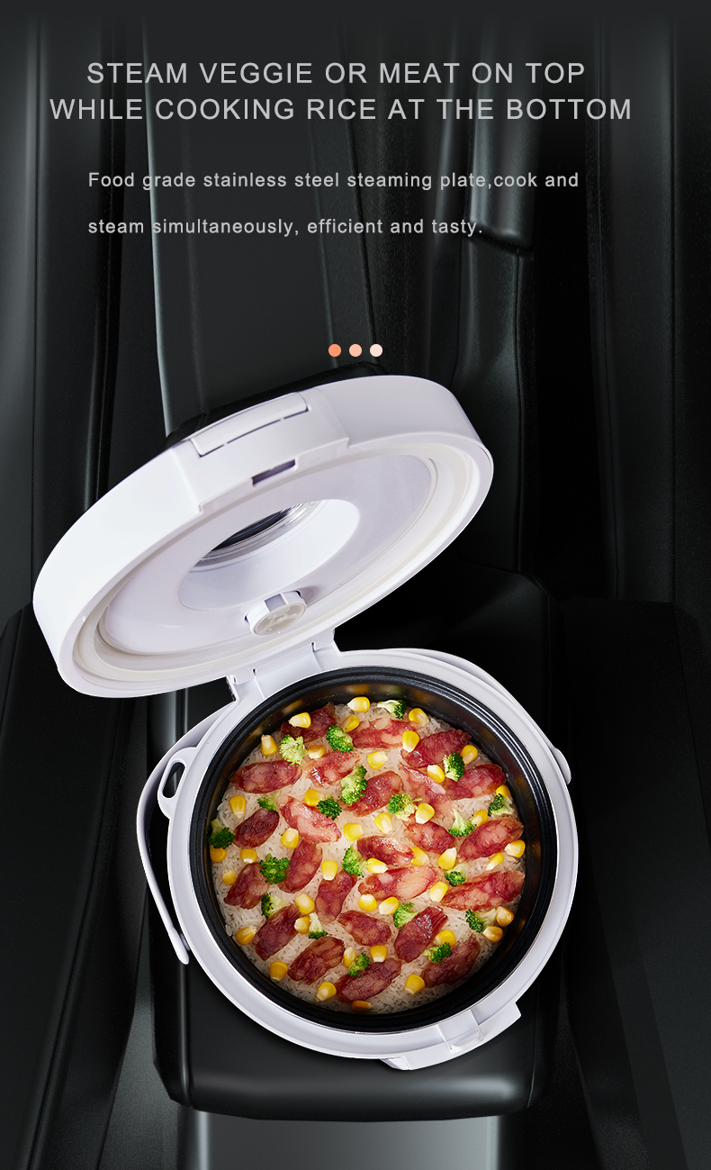 24V Rice Cooker  Truck Soup St - Camping Cooking Cylinder のレビューと価格
