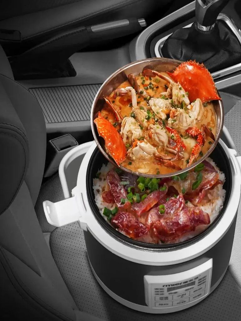 ARIER 12-24V 220V Rice Cooker  - Camping Cooking Cylinder のレビューと価格